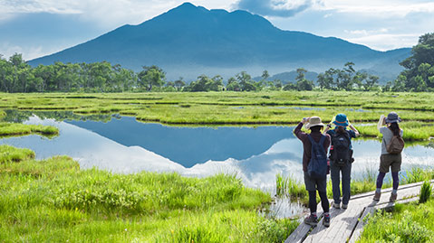 On the Way Back from Oze National Park